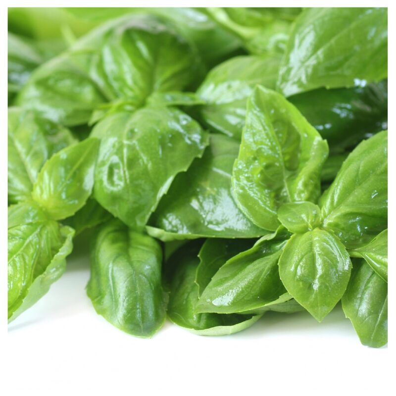 洋風オリーブペースト85g