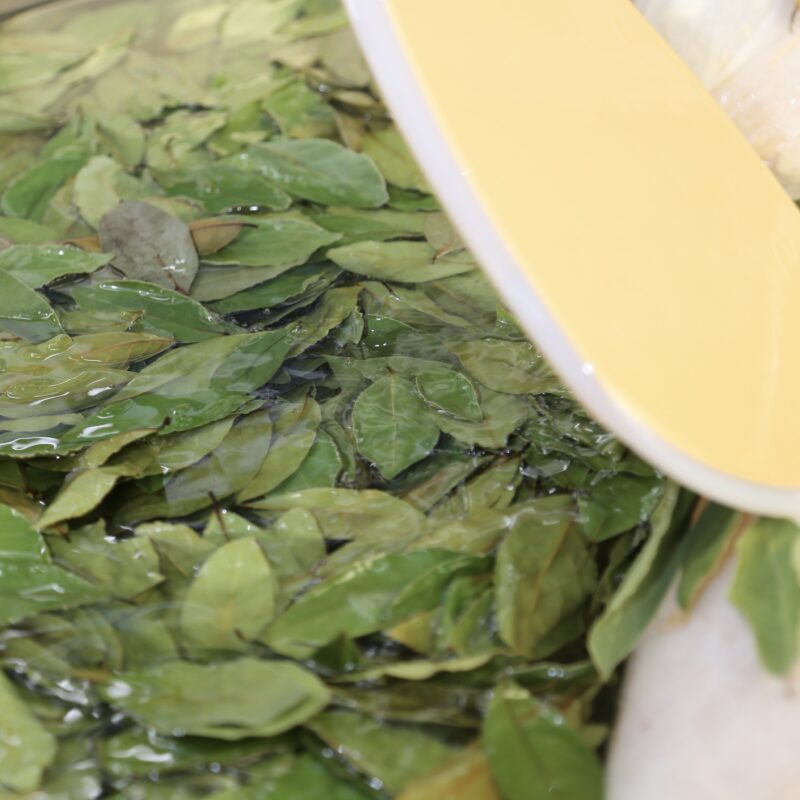 ガーリック＆ローリエオリーブオイル83g