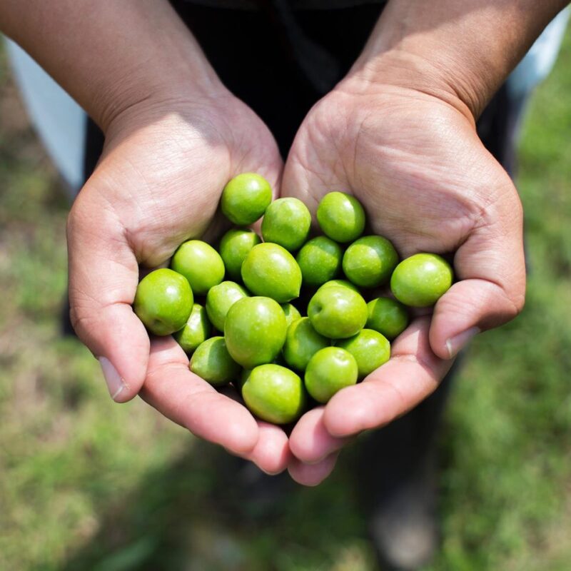新漬けオリーブペースト85g