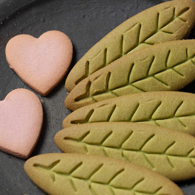 はっぱでポリフェ